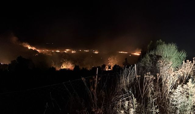 Isparta'da çıkan anız yangını söndürüldü