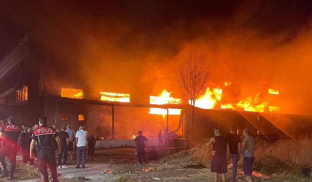 İzmir'de mobilya fabrikasında çıkan yangın kontrol altına alındı