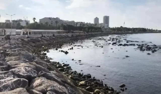Bilim İnsanları Uyardı: İskenderun Körfezi Tehlikede!