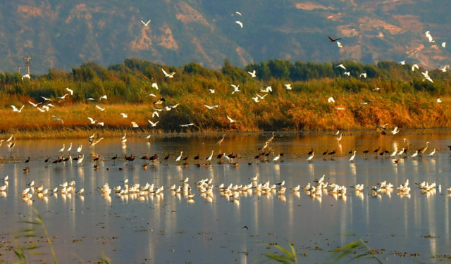Milleyha Kuş Cenneti Artık Sit Alanı!