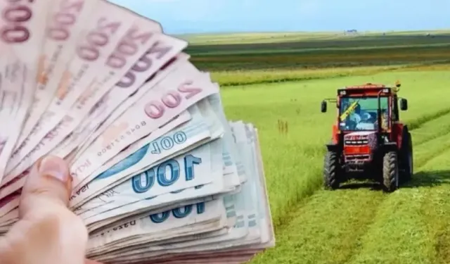 Çiftçilere Zirai Don Desteği Resmi Gazete'de!