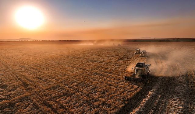 Tarım Sayımı Hatay’da Resmen Başladı