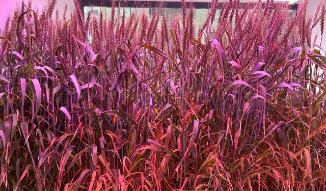 Tarımda Yeni Dönem Başlıyor!