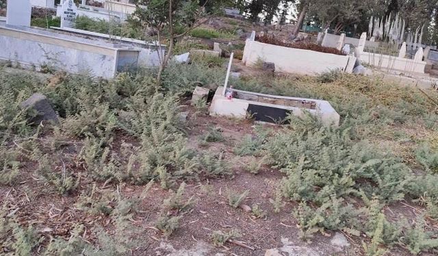 Kırıkhan Abalaklı Köyü Mezarlığında Bakımsızlık Tepki Çekiyor