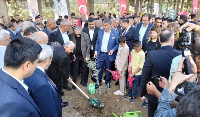 Altınözü Festivalinde Hasat Başladı, Yeni Fidanlar Toprakla Buluştu!