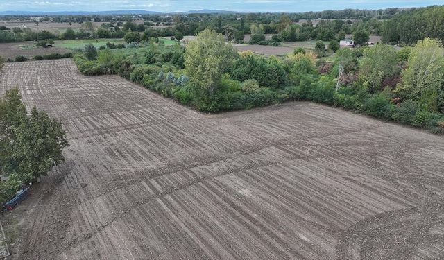 Geçen yıl kuru toprağa ekim yapan Trakya çiftçisi son yağışlarla moral buldu