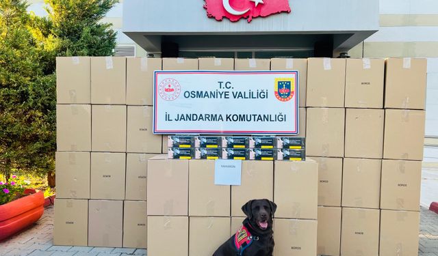 Osmaniye'de 1 milyon 250 bin makaron ele geçirildi