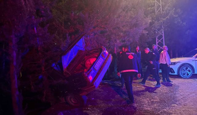 Osmaniye'de ağaca çarpan otomobildeki 3 kişi yaralandı