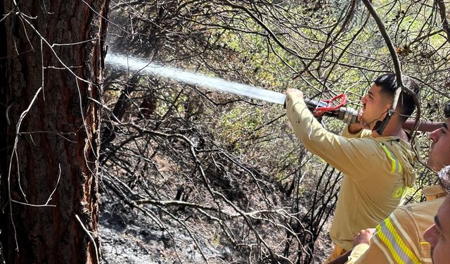 Osmaniye'de çıkan örtü yangını söndürüldü