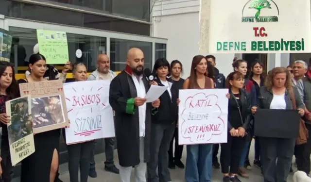 Defne Belediyesi Hayvan Hakları İhlaliyle Suçlanıyor