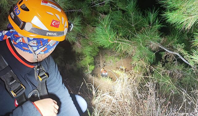 Alanya'da yürüyüş sırasında uçuruma düşen 2 turist kurtarıldı