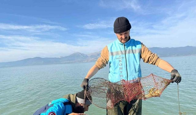 Eğirdir Gölü’nde 300 kaçak kerevit pinteri ele geçirildi