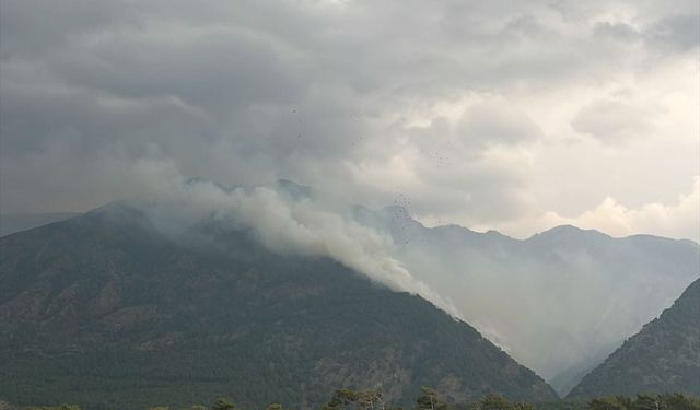 GÜNCELLEME - Hatay'da 2 farklı noktada çıkan orman yangını kontrol altına alındı