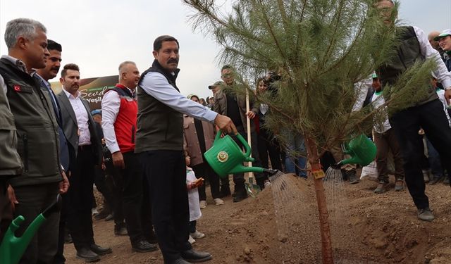 Hatay'da 36 bin 550 fidan toprakla buluştu