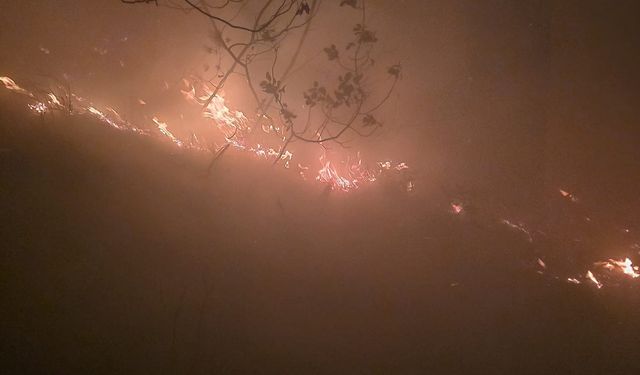 Hatay'da ormanlık alanda yangın çıktı