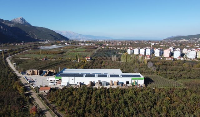 Isparta elması soğuk hava depolarında korunuyor