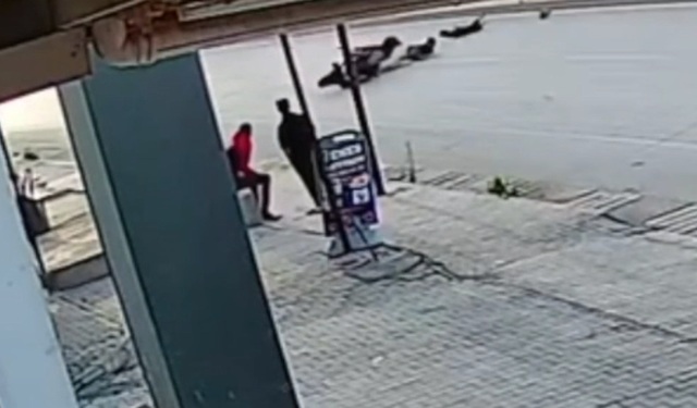 Hatay’da Köpeğe Çarpan Motosiklet Devrildi !