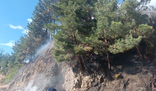 Mersin'de seradan ormanlık alana sıçrayan yangın söndürüldü