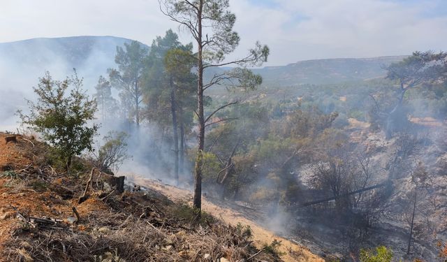 Mersin'de temizlik için ateş yakılan bahçede çıkan yangında 1 kişi yaşamını yitirdi