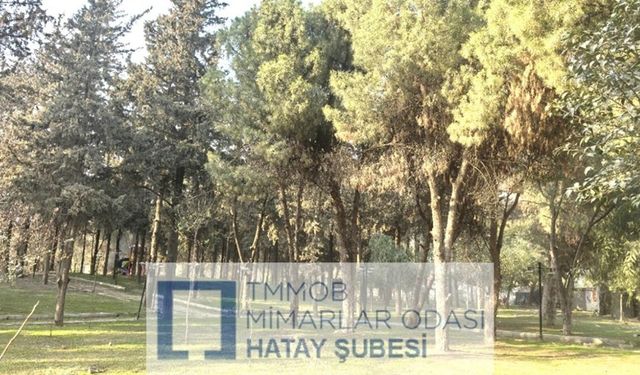 “Mimarlar Odası’ndan Sert Uyarı: ‘Bu Plan Antakya’yı Bitirir!’”