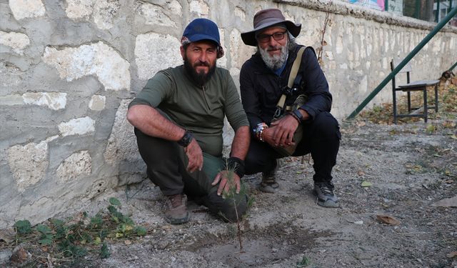 Türkiye'yi yürüyerek gezen 'Seyyah Ömer' 77. fidanını Burdur'a dikti