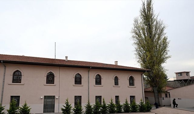 Ulucanlar Cezaevi'nde darağacının gölgesinde büyüyen 'yüzyıllık tanık'