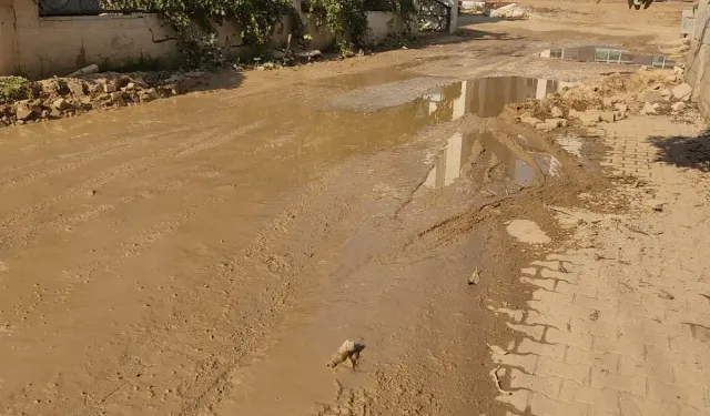 Antakya'da Vatandaşlar Tepkili: "Lağım İçinde Kaldık, Sesimizi Duyun"