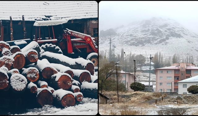 Yurdun bazı kesimlerinde kar yağışı etkili oldu