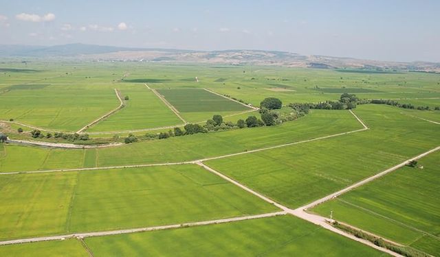 Hatay’da 3 Dekarın Altındaki Arazilere Aidat Müjdesi!