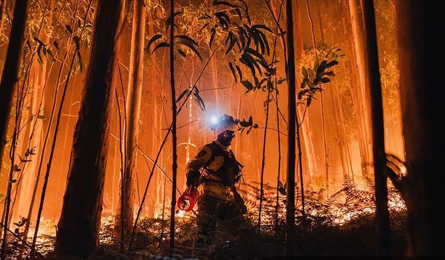 AB ormanları 2025'teki yangınlarda kayıtlardaki en büyük kaybı yaşadı