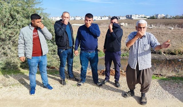 Adana’da dere yatağına yine at ve eşek kalıntıları atıldı: Mahalle sakinleri tepki gösterdi