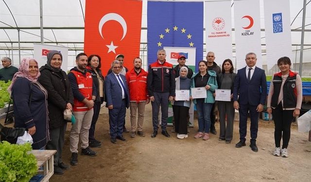 Adana’da topraksız marul yetiştiriciliği başladı