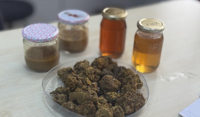 Arı ürünleri araştırmaları 'KTÜ APİMER' çatısı altında sürdürülecek