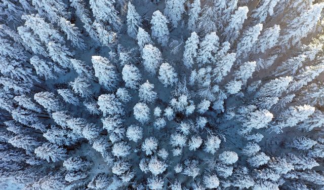 Beyaz örtüyle kaplanan Küre Dağları dron ile görüntülendi