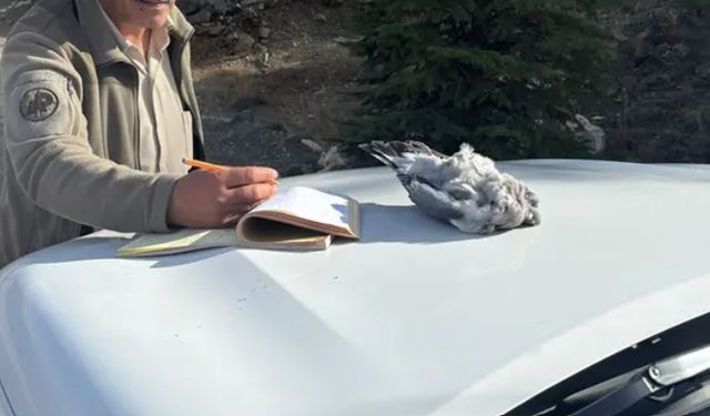 Burdur'da kaçak avcılık yapan 4 kişiye 40 bin lira ceza