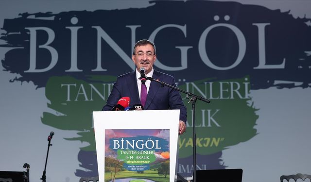 Cumhurbaşkanı Yardımcısı Yılmaz: Biz hem 'Terörsüz Türkiye' hem 'Terörsüz Bölge' diyoruz