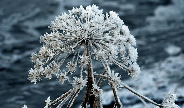 Erzurum, Ardahan, Kars ve Balıkesir'de soğuk hava etkili oldu