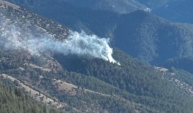 Feke'de çıkan orman yangını kontrol altına alındı