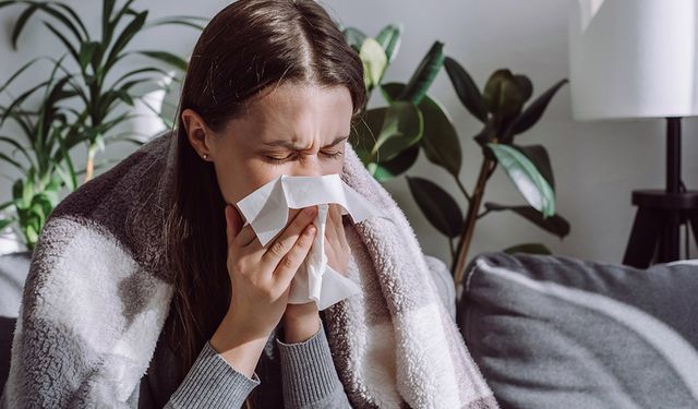 Soğuk Algınlığını Çabuk Atlatmanın Sırrı Bu Meyvede Saklı