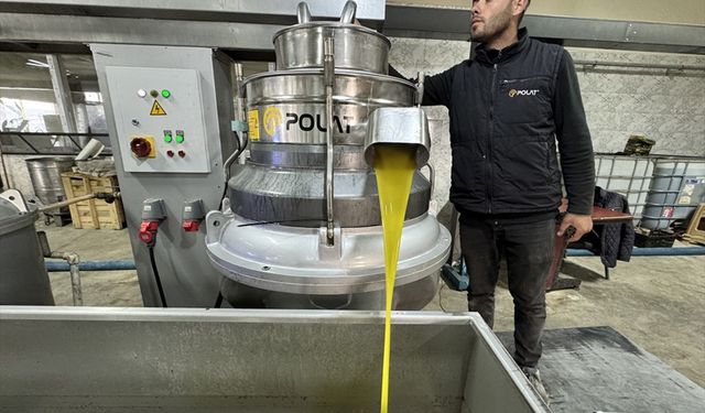 Hatay’da Zeytin Bereketi: Muhtarın Kurduğu Tesis Mahalleliye Aş Oldu