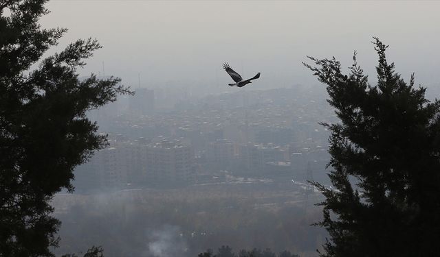 İran, hava kirliliğinin önlenmesi amacıyla Euro 5 benzin üretimini artırmayı hedefliyor
