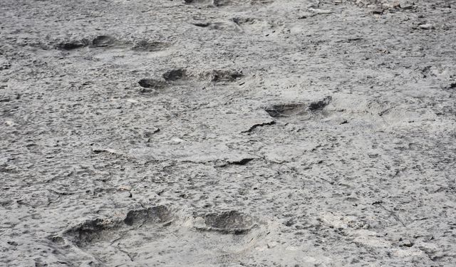 İtalya'da 200 milyon yıl öncesinden kaldığı düşünülen binlerce dinozor ayak izi keşfedildi