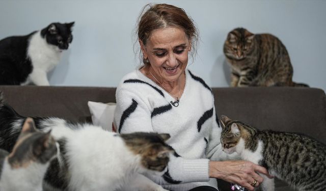 Kanser tedavisi sürecinde evinde beslediği 30'dan fazla kediden güç ve moral buldu