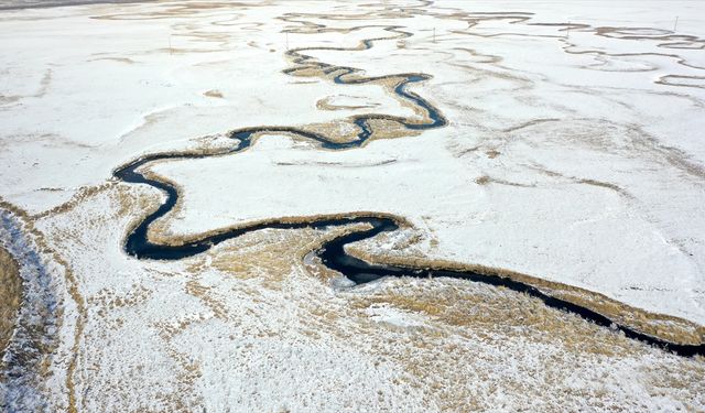 Karla beyaza bürünen Göle Ovası'ndaki menderesler dronla görüntülendi