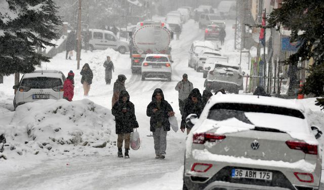 Kars'ta kar yağışı etkisini sürdürüyor