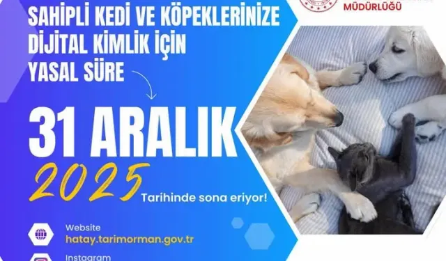 Hatay'da Dijital Kimlik İçin Son Gün 31 Aralık!