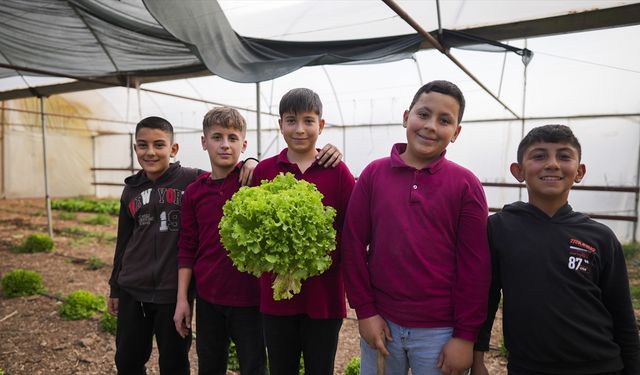 Köy okulunda eğitimi sınıflardan seralara, zeytin ve ceviz bahçelerine taşıdılar