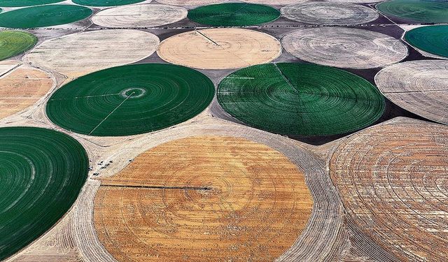 Lisanslı depoculukla bazı tarım ürünlerinin azami depolama süreleri uzatıldı