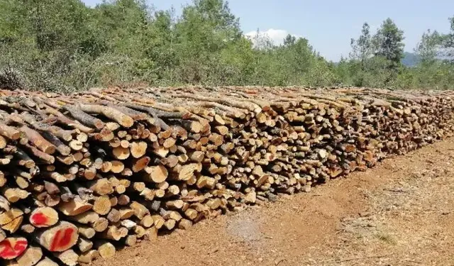 İSKENDERUN ORMAN İŞLETME MÜDÜRLÜĞÜNDEN İLAN