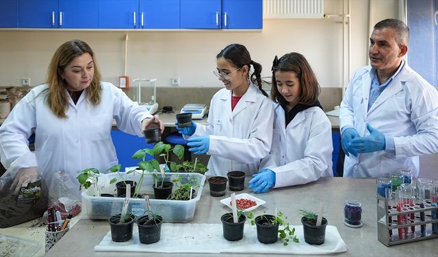 Öğrenciler 'yeşil vatan' için en hızlı filizlenen tohum topunu araştırdı